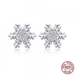 De Moda Plata 925 Winter Snowflake Exquisitos Aretes Joyas De Moda Mujer De Compromiso De Boda Bse009 EARR-0627